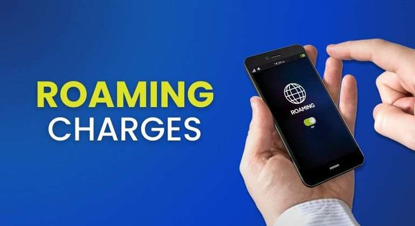 How to Check Your AlpineSIM eSIM Data Usage While Traveling
